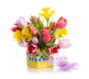 Colorful Easter flowers